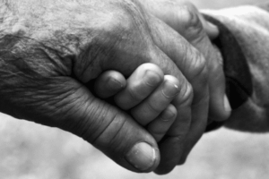 2-10-trusttuesday Probate Attorney Torrance Ca